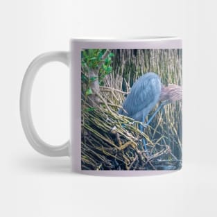 Shaggy Headed Reddish Egret Mug